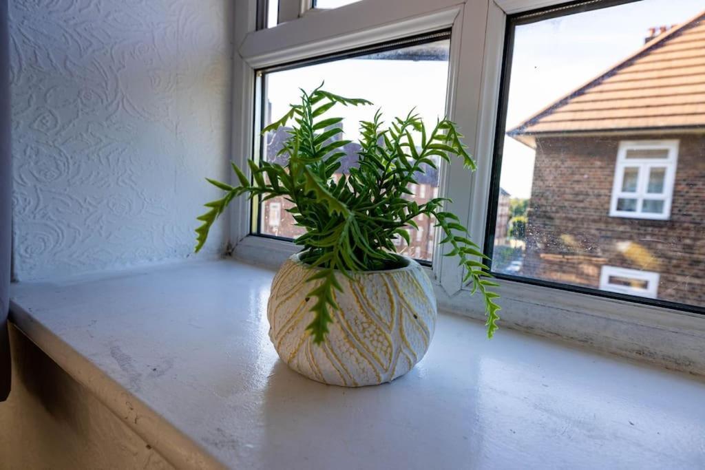 Apartament Pristine 3 Beds Hackney E9 Londyn Zewnętrze zdjęcie